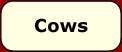 registered Holsteins